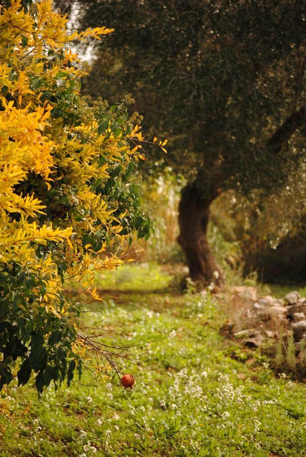 Bed and Breakfast Il Giardino Di Viola Ceglie Messapica Exteriér fotografie