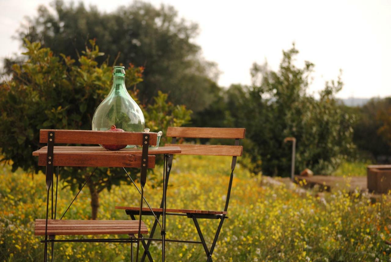 Bed and Breakfast Il Giardino Di Viola Ceglie Messapica Exteriér fotografie