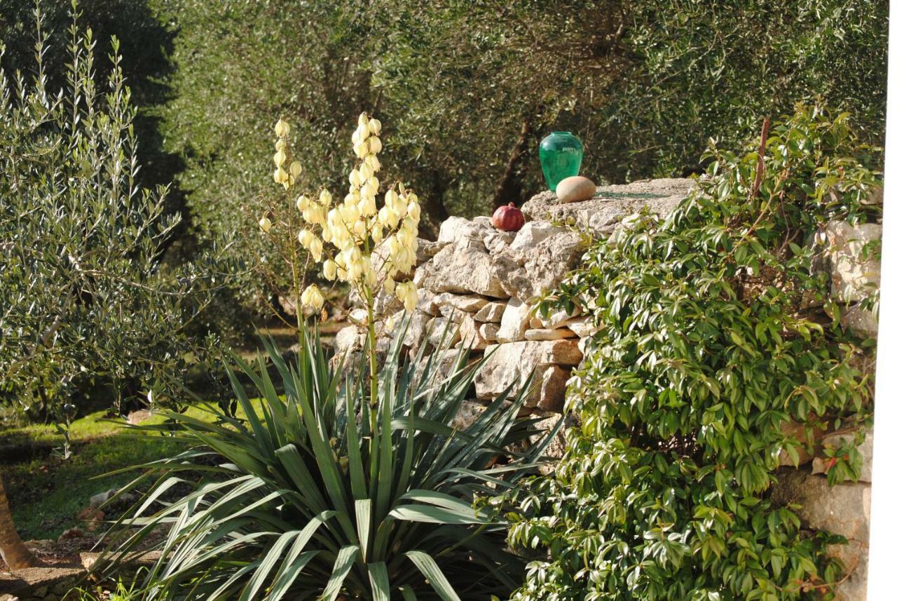 Bed and Breakfast Il Giardino Di Viola Ceglie Messapica Exteriér fotografie