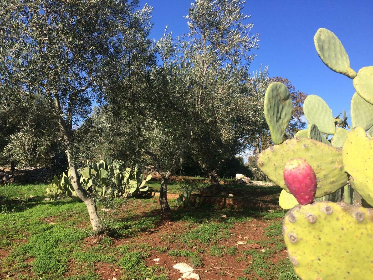 Bed and Breakfast Il Giardino Di Viola Ceglie Messapica Exteriér fotografie